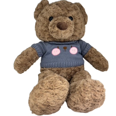 WhatsApp_Image_2026-01-25_at_10.47.41__15_-removebg-preview