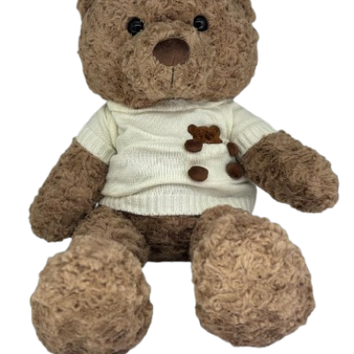 WhatsApp_Image_2026-01-25_at_10.47.43-removebg-preview