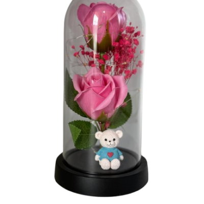 WhatsApp_Image_2026-01-25_at_10.50.02__10_-removebg-preview