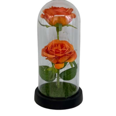 WhatsApp_Image_2026-01-25_at_10.50.02__1_-removebg-preview