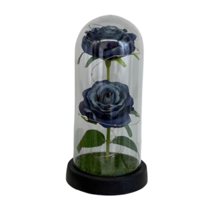 WhatsApp_Image_2026-01-25_at_10.50.02__3_-removebg-preview