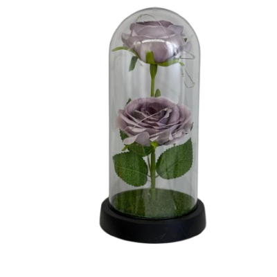 WhatsApp_Image_2026-01-25_at_10.50.02__4_-removebg-preview