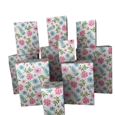 WhatsApp_Image_2026-01-25_at_13.32.41-removebg-preview