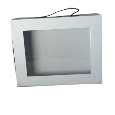 WhatsApp_Image_2026-01-25_at_16.14.47-removebg-preview