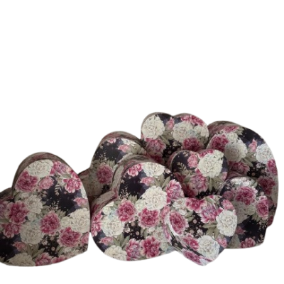 WhatsApp_Image_2026-01-25_at_16.14.48__3_-removebg-preview